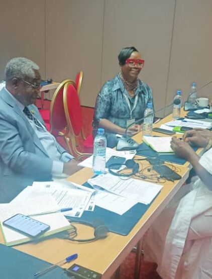Forum sur le financement du Secteur privé de la santé à Abidjan 3